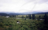 Ерниковое болото в долине реки Балбалистая (приток реки Буркал). Фото М.В.Константинова