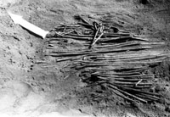 Ламинская Гора. Перекрытие могильной ямы. 1987 г.