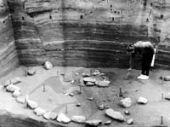 Изучение палеолитического жилища. Студеное-1, горизонт 17. 1981 г.
